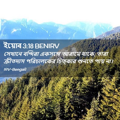 Picture 02 - ইয়োব 3:18 BENIRV - সেখানে বন্দিরা - Bible Verse Picture