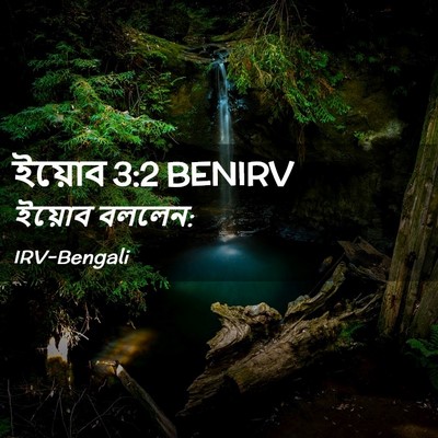 Picture 02 - ইয়োব 3:2 BENIRV - ইয়োব - Bible Verse Picture
