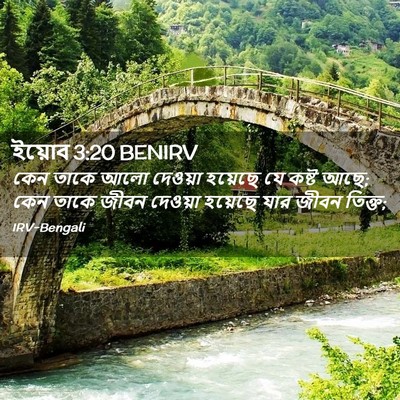 Picture 02 - ইয়োব 3:20 BENIRV - কেন তাকে আলো - Bible Verse Picture