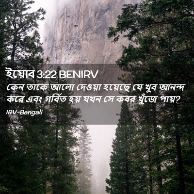 Picture 02 - ইয়োব 3:22 BENIRV - কেন তাকে আলো - Bible Verse Picture