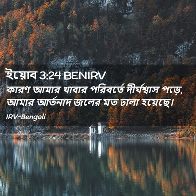 Picture 02 - ইয়োব 3:24 BENIRV - কারণ আমার খাবার - Bible Verse Picture
