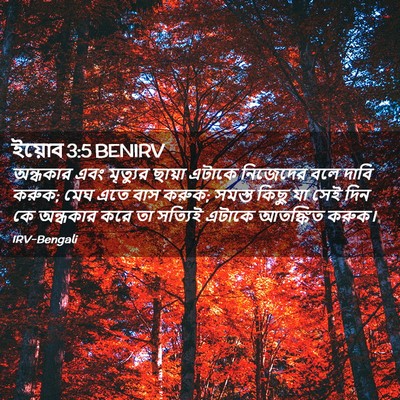 Picture 02 - ইয়োব 3:5 BENIRV - অন্ধকার এবং - Bible Verse Picture