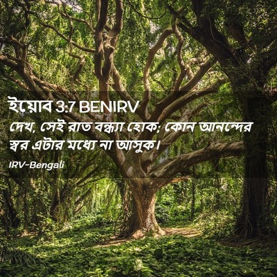 Picture 02 - ইয়োব 3:7 BENIRV - দেখ, সেই রাত - Bible Verse Picture