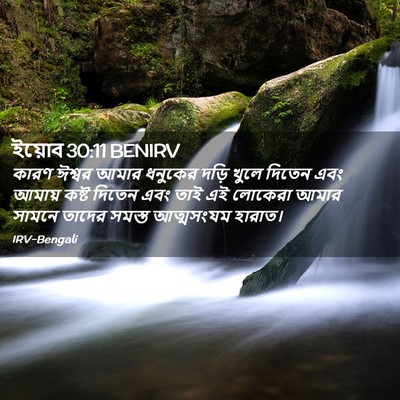 Picture 02 - ইয়োব 30:11 BENIRV - কারণ ঈশ্বর আমার - Bible Verse Picture