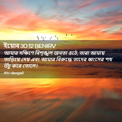Picture 02 - ইয়োব 30:12 BENIRV - আমার দক্ষিণে - Bible Verse Picture
