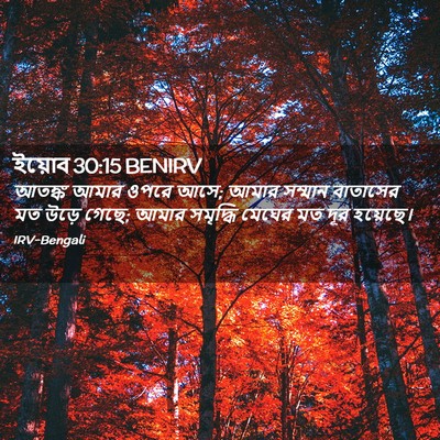 Picture 02 - ইয়োব 30:15 BENIRV - আতঙ্ক আমার ওপরে - Bible Verse Picture