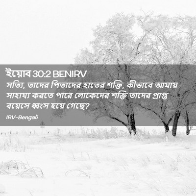 Picture 02 - ইয়োব 30:2 BENIRV - সত্যি, তাদের - Bible Verse Picture