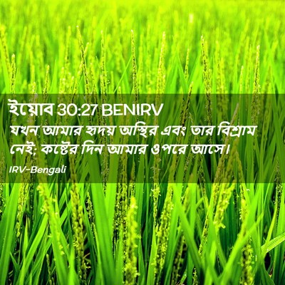 Picture 02 - ইয়োব 30:27 BENIRV - যখন আমার হৃদয় - Bible Verse Picture