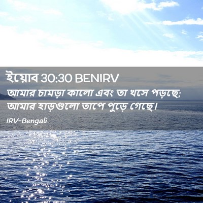 Picture 02 - ইয়োব 30:30 BENIRV - আমার চামড়া কালো - Bible Verse Picture