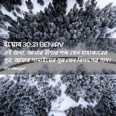 Picture 02 - ইয়োব 30:31 BENIRV - এই জন্য, আমার বীণার - Bible Verse Picture