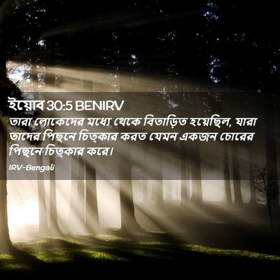 Picture 02 - ইয়োব 30:5 BENIRV - তারা লোকেদের - Bible Verse Picture