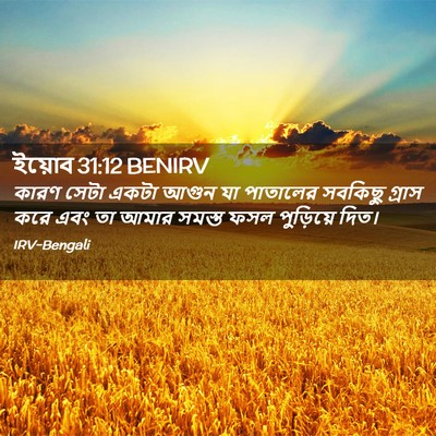 Picture 02 - ইয়োব 31:12 BENIRV - কারণ সেটা একটা - Bible Verse Picture
