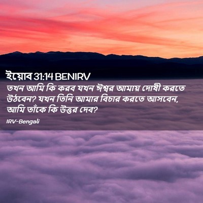 Picture 02 - ইয়োব 31:14 BENIRV - তখন আমি কি করব যখন - Bible Verse Picture