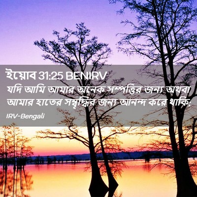Picture 02 - ইয়োব 31:25 BENIRV - যদি আমি আমার অনেক - Bible Verse Picture
