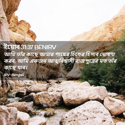 Picture 02 - ইয়োব 31:37 BENIRV - আমি তাঁর কাছে আমার - Bible Verse Picture