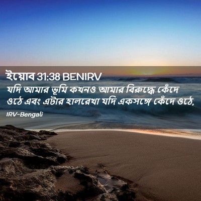 Picture 02 - ইয়োব 31:38 BENIRV - যদি আমার ভূমি কখনও - Bible Verse Picture