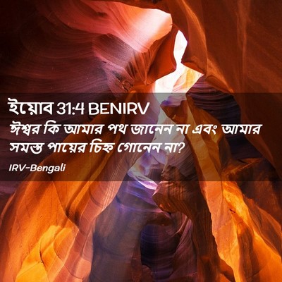 Picture 02 - ইয়োব 31:4 BENIRV - ঈশ্বর কি আমার পথ - Bible Verse Picture