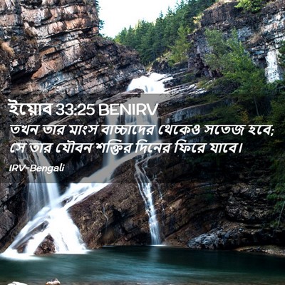 Picture 02 - ইয়োব 33:25 BENIRV - তখন তার মাংস - Bible Verse Picture