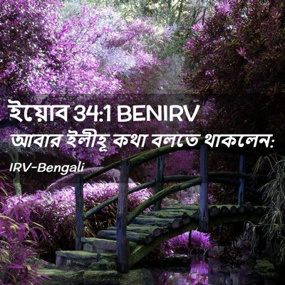 Picture 02 - ইয়োব 34:1 BENIRV - আবার ইলীহূ কথা - Bible Verse Picture