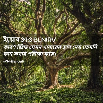 Picture 02 - ইয়োব 34:3 BENIRV - কারণ জিভ যেমন - Bible Verse Picture