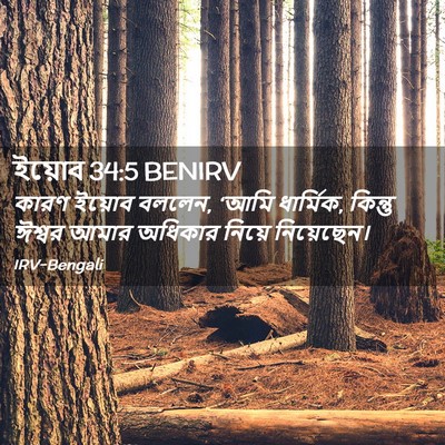 Picture 02 - ইয়োব 34:5 BENIRV - কারণ ইয়োব বললেন, - Bible Verse Picture