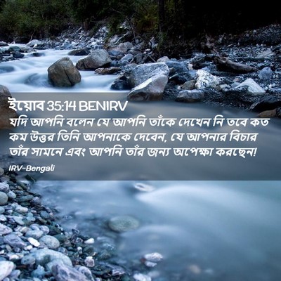 Picture 02 - ইয়োব 35:14 BENIRV - যদি আপনি বলেন যে - Bible Verse Picture