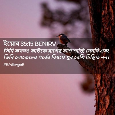 Picture 02 - ইয়োব 35:15 BENIRV - তিনি কখনও কাউকে - Bible Verse Picture