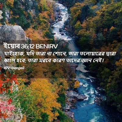 Picture 02 - ইয়োব 36:12 BENIRV - যাইহোক, যদি তারা না - Bible Verse Picture