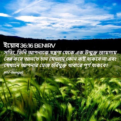 Picture 02 - ইয়োব 36:16 BENIRV - সত্যি, তিনি আপনাকে - Bible Verse Picture