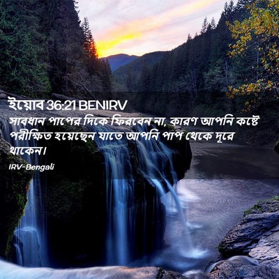Picture 02 - ইয়োব 36:21 BENIRV - সাবধান পাপের দিকে - Bible Verse Picture