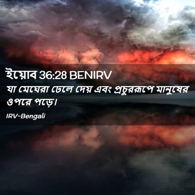 Picture 02 - ইয়োব 36:28 BENIRV - যা মেঘেরা ঢেলে - Bible Verse Picture