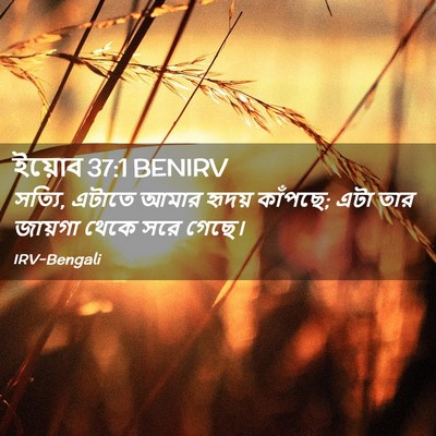 Picture 02 - ইয়োব 37:1 BENIRV - সত্যি, এটাতে আমার - Bible Verse Picture