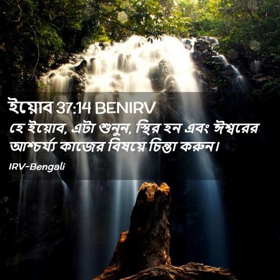 Picture 02 - ইয়োব 37:14 BENIRV - হে ইয়োব, এটা - Bible Verse Picture