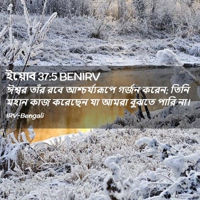 Picture 02 - ইয়োব 37:5 BENIRV - ঈশ্বর তাঁর রবে - Bible Verse Picture