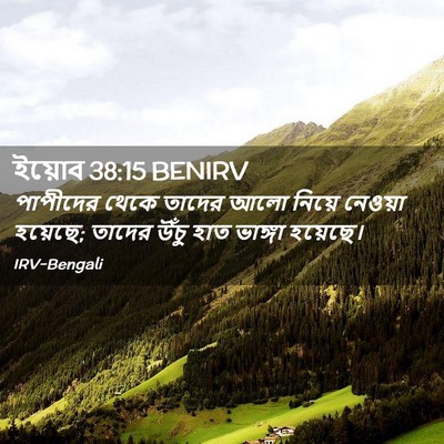 Picture 02 - ইয়োব 38:15 BENIRV - পাপীদের থেকে - Bible Verse Picture