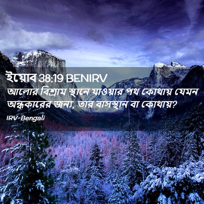 Picture 02 - ইয়োব 38:19 BENIRV - আলোর বিশ্রাম - Bible Verse Picture