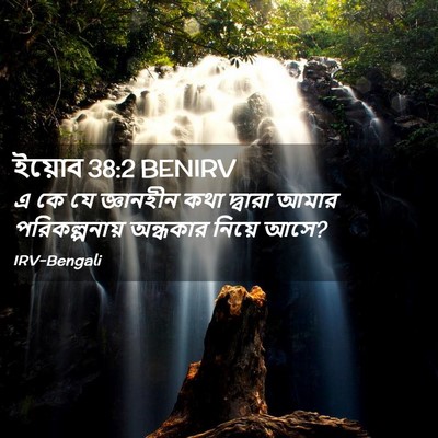 Picture 02 - ইয়োব 38:2 BENIRV - এ কে যে জ্ঞানহীন - Bible Verse Picture