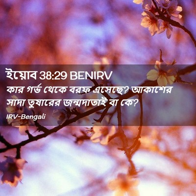 Picture 02 - ইয়োব 38:29 BENIRV - কার গর্ভ থেকে বরফ - Bible Verse Picture