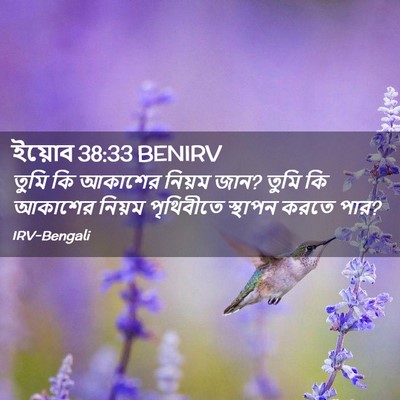 Picture 02 - ইয়োব 38:33 BENIRV - তুমি কি আকাশের - Bible Verse Picture