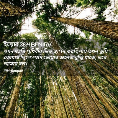 Picture 02 - ইয়োব 38:4 BENIRV - যখন আমি পৃথিবীর - Bible Verse Picture