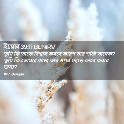 Picture 02 - ইয়োব 39:11 BENIRV - তুমি কি তাকে - Bible Verse Picture