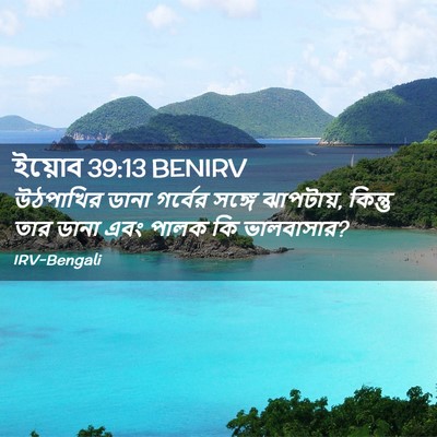 Picture 02 - ইয়োব 39:13 BENIRV - উঠপাখির ডানা - Bible Verse Picture