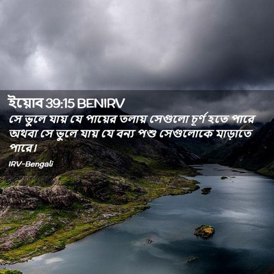 Picture 02 - ইয়োব 39:15 BENIRV - সে ভুলে যায় যে - Bible Verse Picture