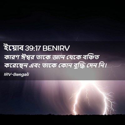 Picture 02 - ইয়োব 39:17 BENIRV - কারণ ঈশ্বর তাকে - Bible Verse Picture