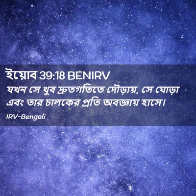 Picture 02 - ইয়োব 39:18 BENIRV - যখন সে খুব - Bible Verse Picture