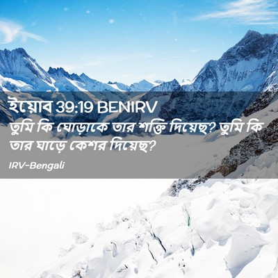 Picture 02 - ইয়োব 39:19 BENIRV - তুমি কি ঘোড়াকে - Bible Verse Picture