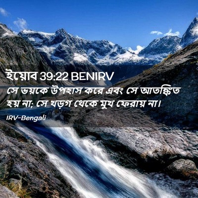 Picture 02 - ইয়োব 39:22 BENIRV - সে ভয়কে উপহাস করে - Bible Verse Picture