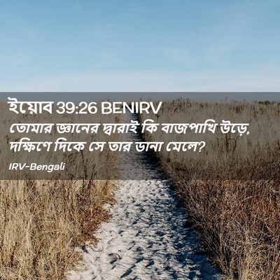 Picture 02 - ইয়োব 39:26 BENIRV - তোমার জ্ঞানের - Bible Verse Picture