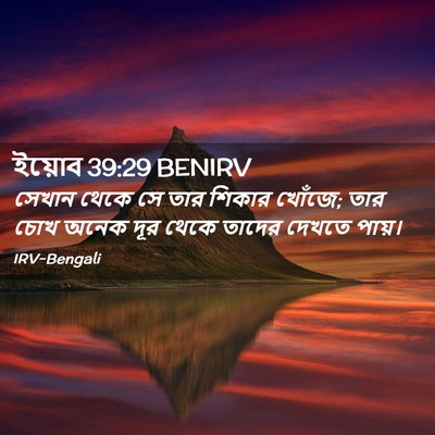 Picture 02 - ইয়োব 39:29 BENIRV - সেখান থেকে সে তার - Bible Verse Picture