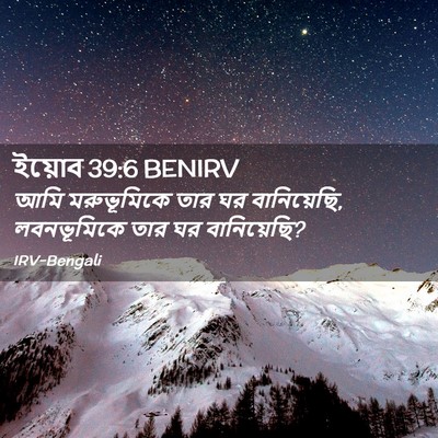 Picture 02 - ইয়োব 39:6 BENIRV - আমি মরুভূমিকে তার - Bible Verse Picture